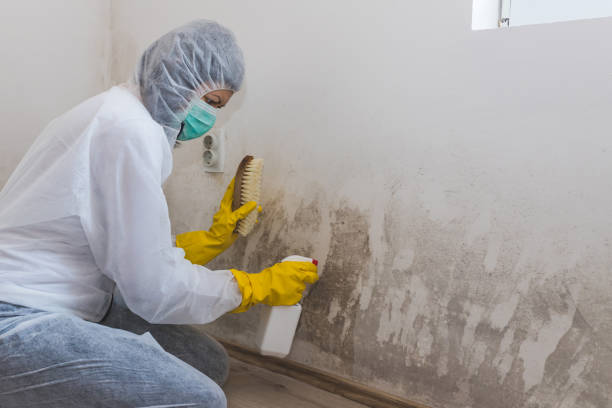 Best Mold Testing and Inspection Services in Pinehurst, NC