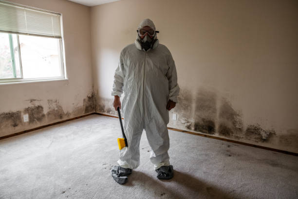 Best Emergency Mold Remediation in Pinehurst, NC