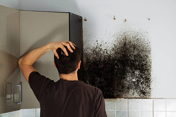 Best Post-Flood Mold Remediation in Pinehurst, NC